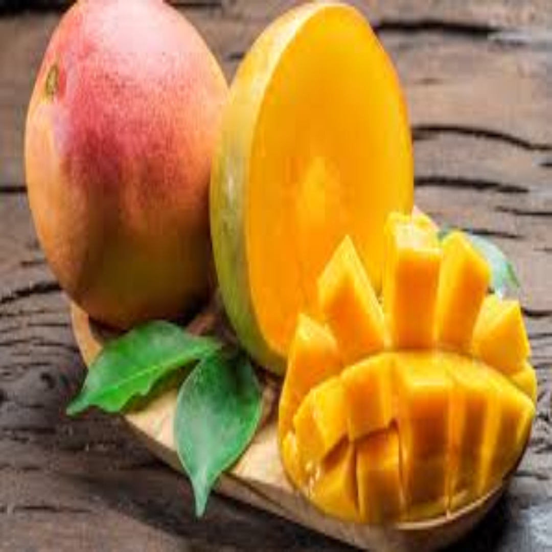 Dubai Kent Mango Plant Grafted – Supplier Saudi Arabia